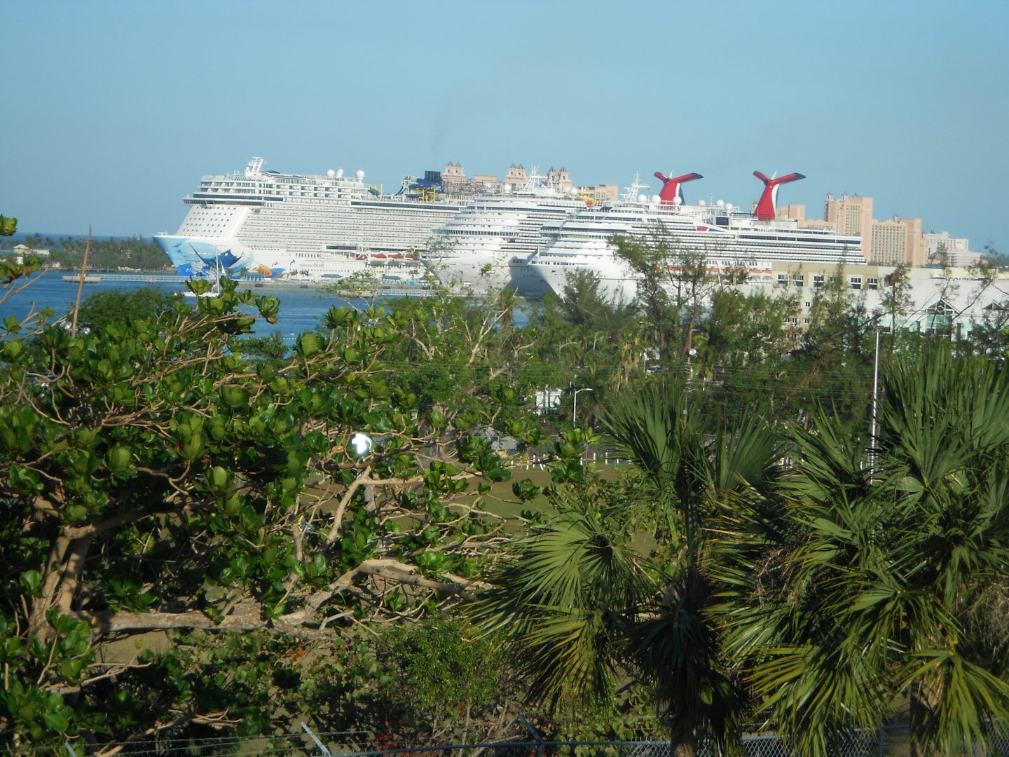 The ships tied up in Nassau.