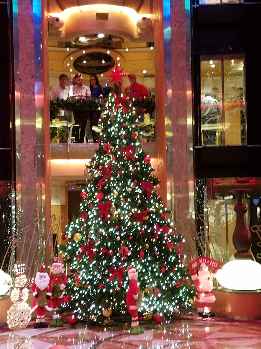 Christmas tree in the Centrum.