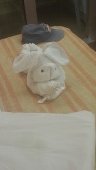 After they clean the cabin they leave these cute towel animals