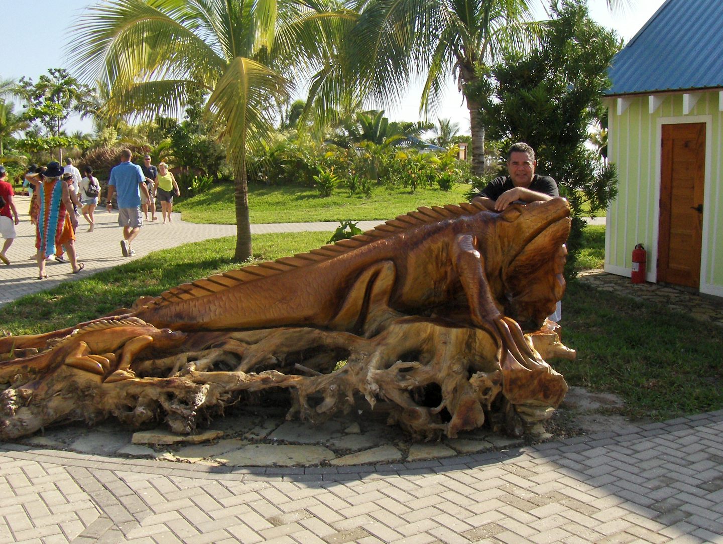 Wood Art at Harvest Caye Belize