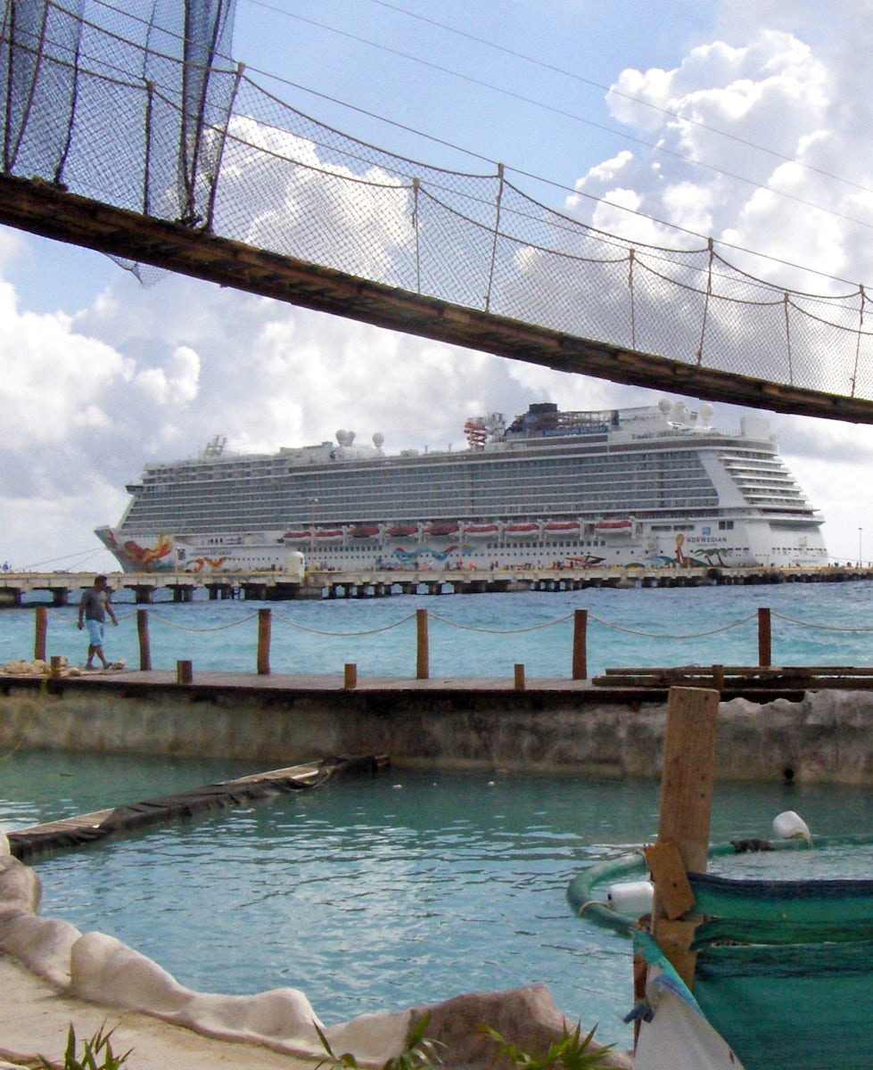 View of The NCL ship from Costa Maya Port.  They are constructing a dolphin encounter!