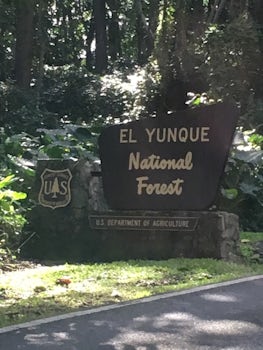 El yunque rainforest, San Juan, Puerto RICO.