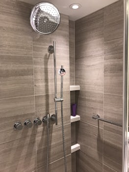 Penthouse Suite - Shower
