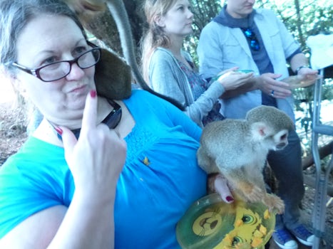 Squirrel Monkeys in the Monkey Jungle! Had a great time feeding them and le