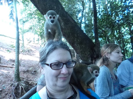 Cute Squirrel Monkey on my head and shoulder!