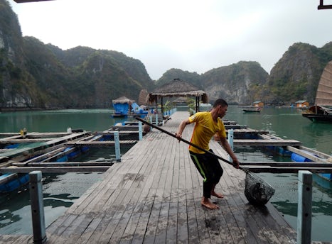 Floating village and fish farm Bai Tu Long Bay