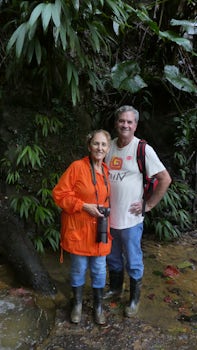 In the Rain Forest