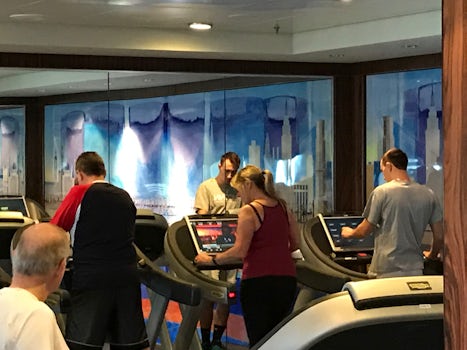 Treadmills at the fitness center