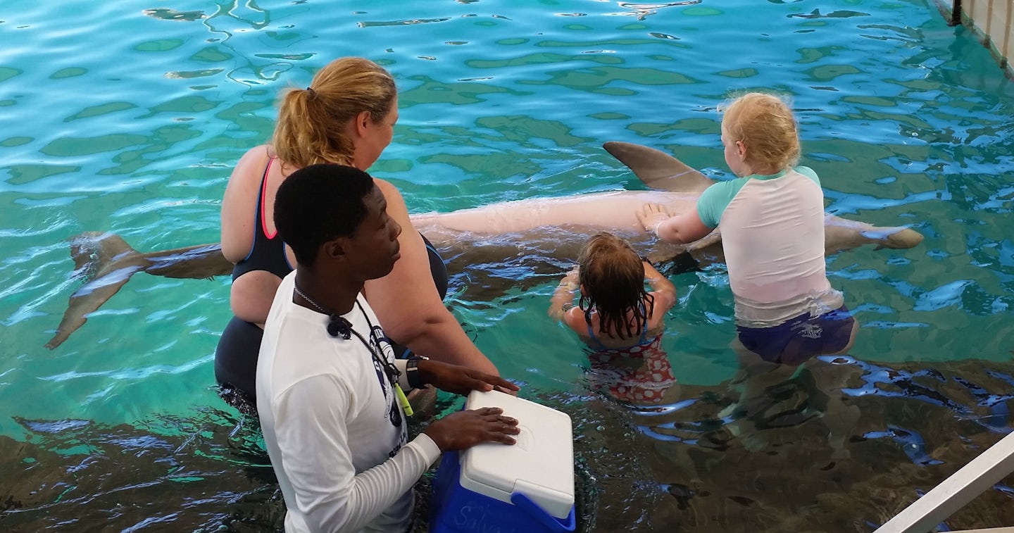 Part of the dolphin interaction at Blue Lagoon.