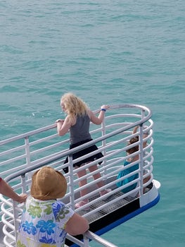 Key West glass bottom boat. Great trip even without seeing any fish.