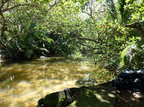 Lagoon in Cahuita National Park, Limon Costa Rica