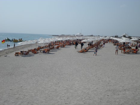 Sun beds and umbrellas on the beach Sir Bani Yas