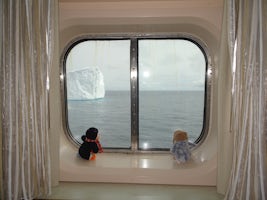Ice bergs frequently pass our cabin window
