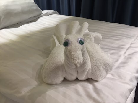 The animal towels that the stewards make for you nightly, only I think our