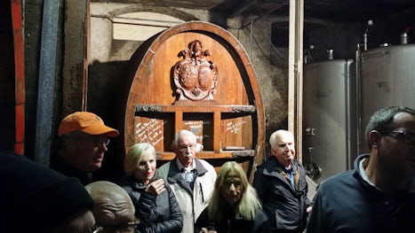 Winery tour in Alsace.