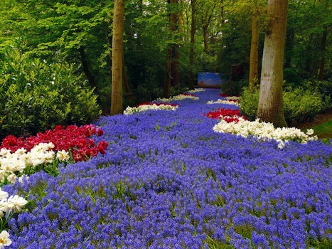 Flower garden Lisse, Netherlands.