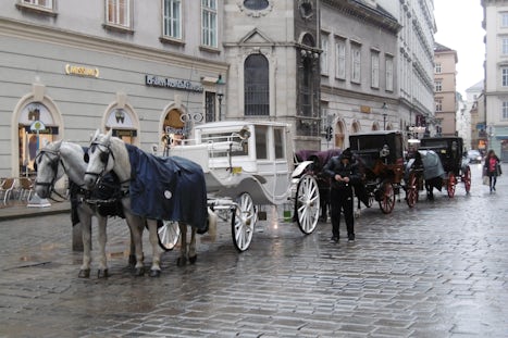 carriages near the Vienna town hall on our guided tour of Vienna
