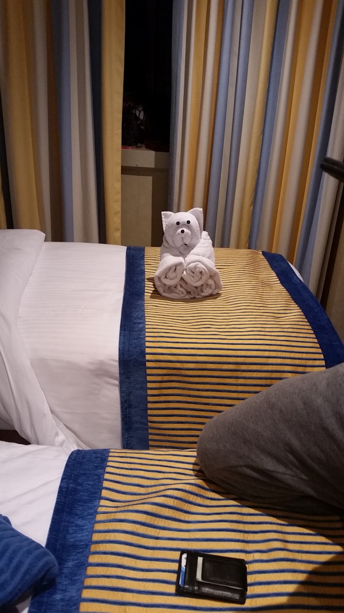 One of our Towel Animals