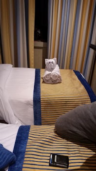 One of our Towel Animals