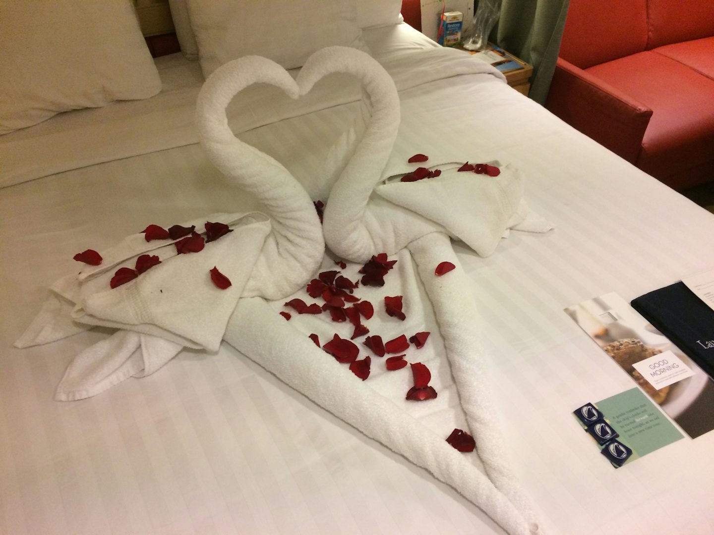 Towel Swan Surprise in our room after Renewal of Vows ceremony