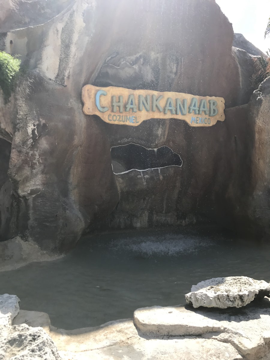 Chankanaab Beach Park & Snorkel