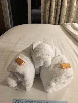 one of the towel animals left by our cabin steward
