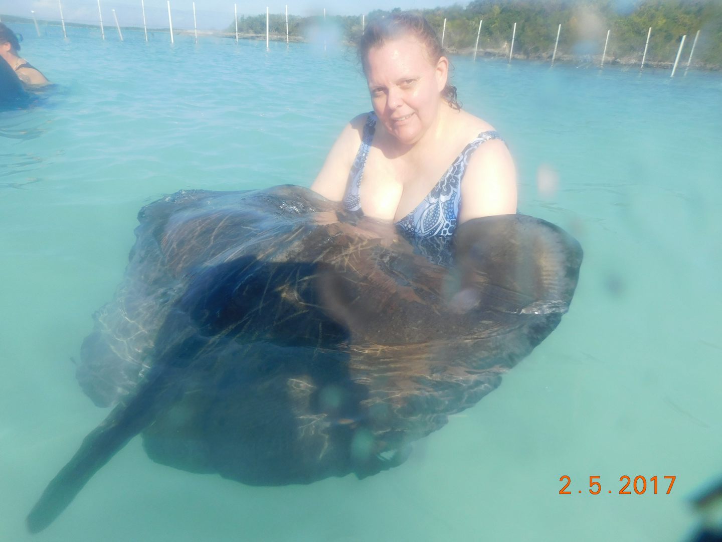 STINGRAY CITY SHORE EXCURSION -- so much fun holding a ray!!!