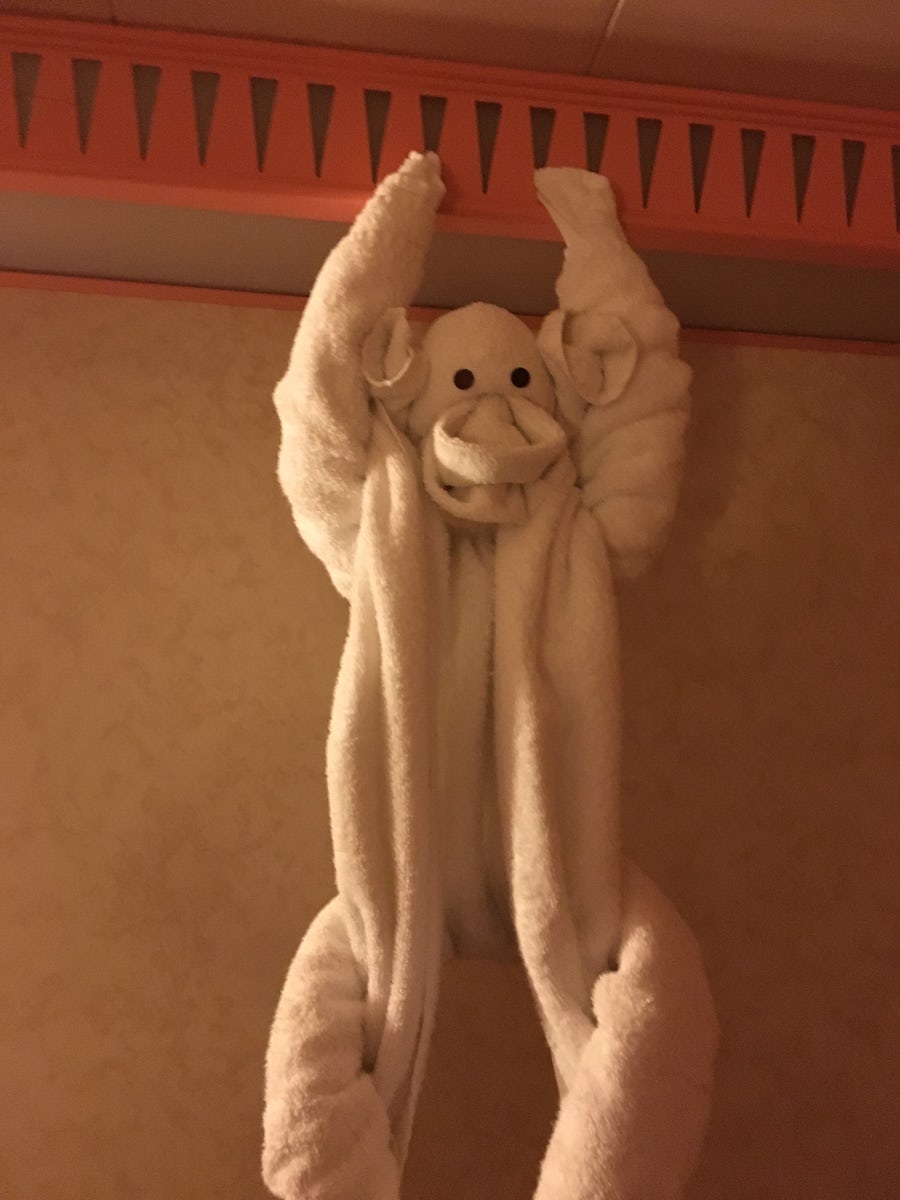 Towel Monkey!