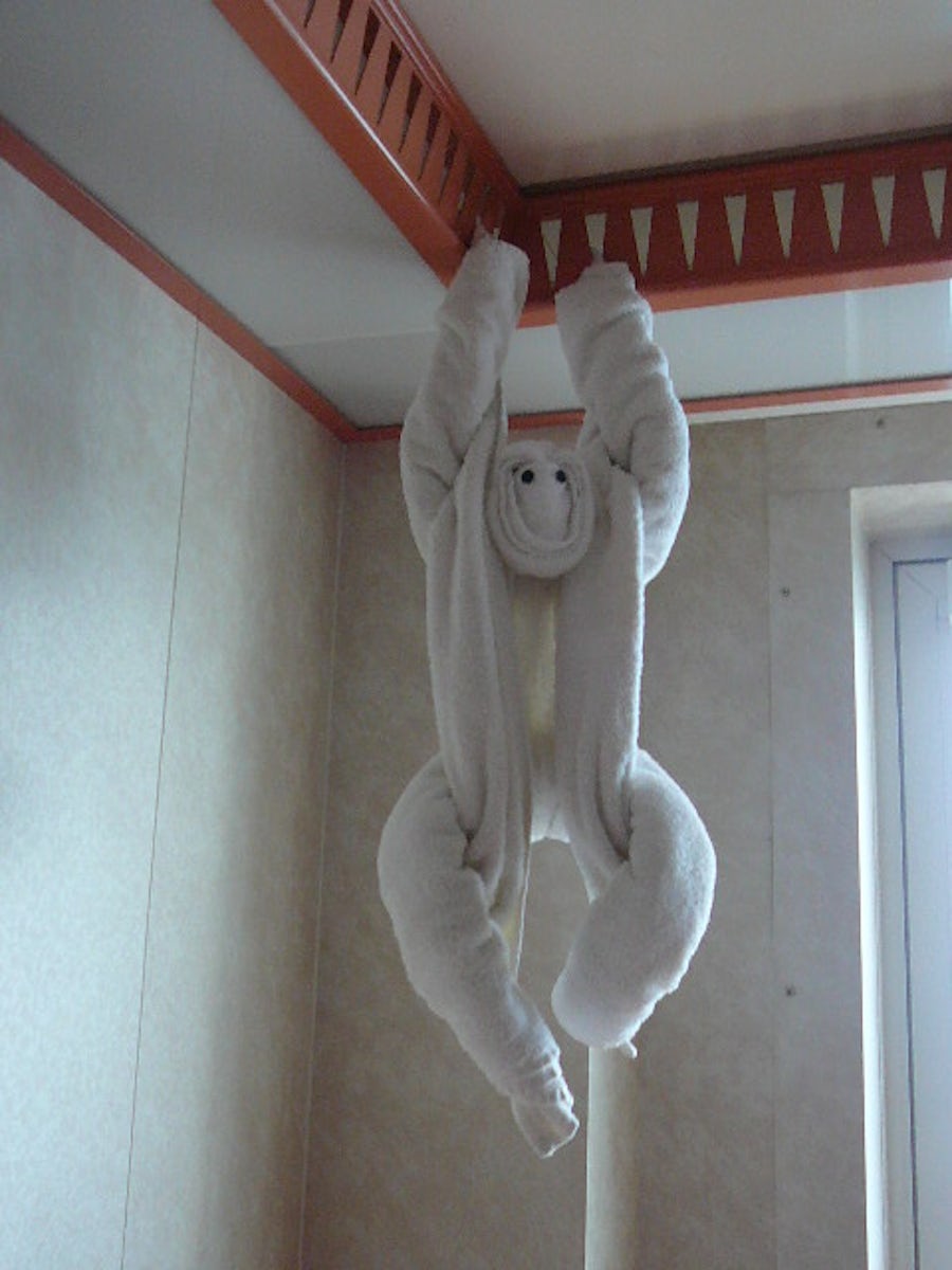A towel animal made each day and put in cabin