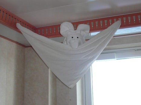 Another towel animal