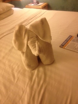 Towel Elephant on our bed