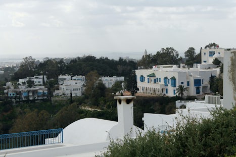 High on the cliffs overlooking the Bay of Tunis, we came to explore the Moo