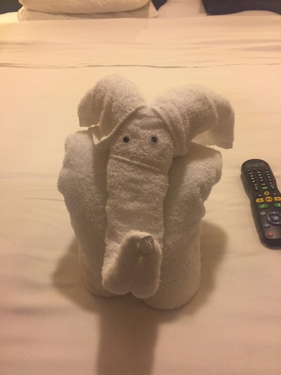 Love the towel animals every night