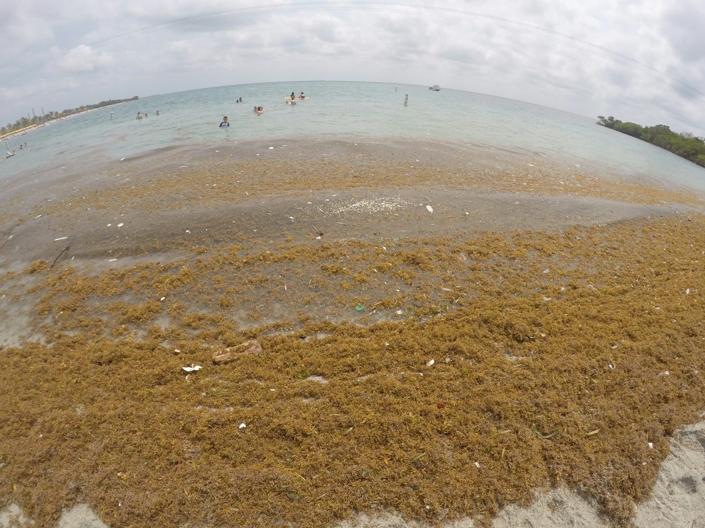 Harvest Caye -- we were swimming in what???