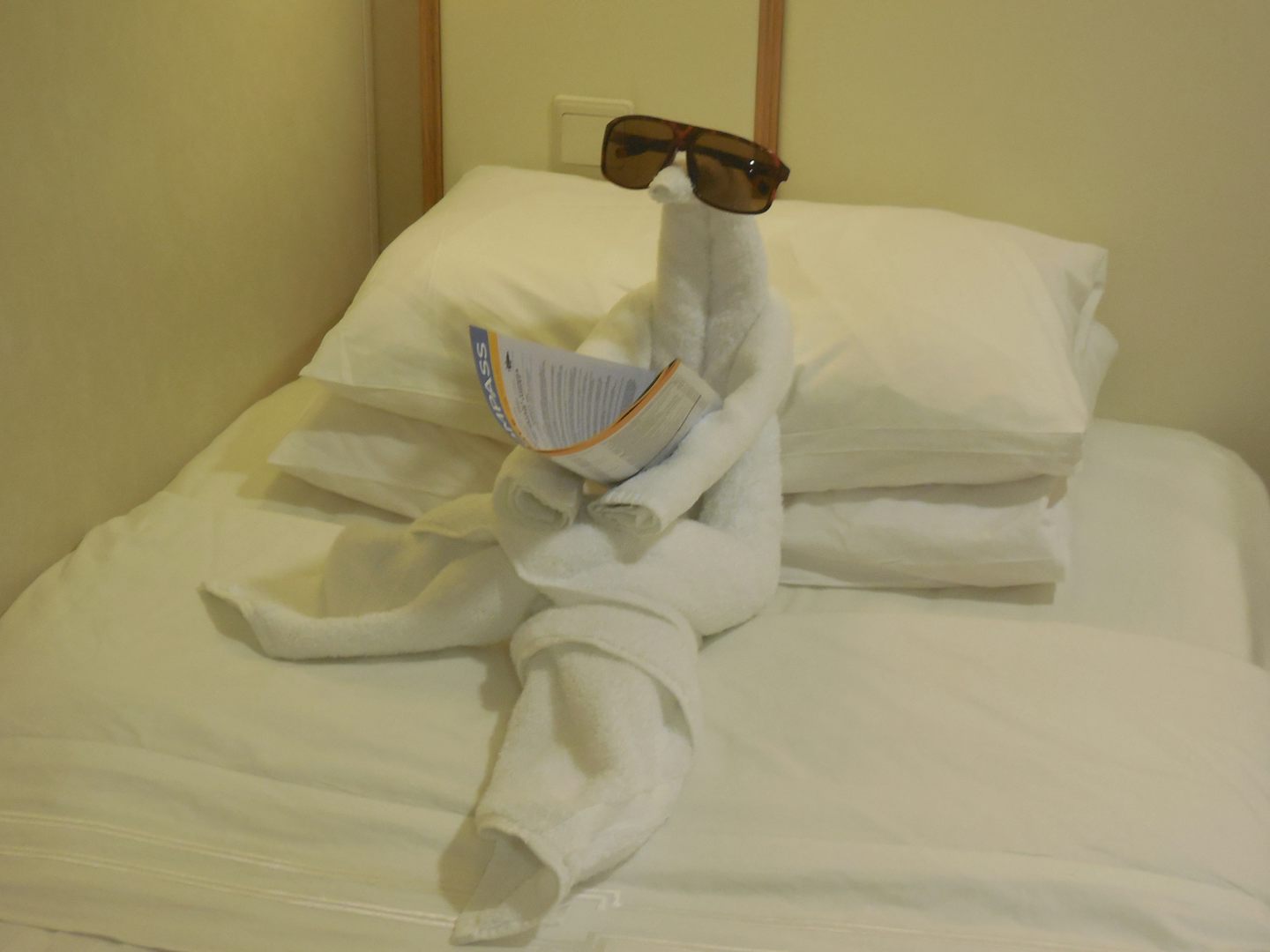 The towel animals were always a joy to behold.