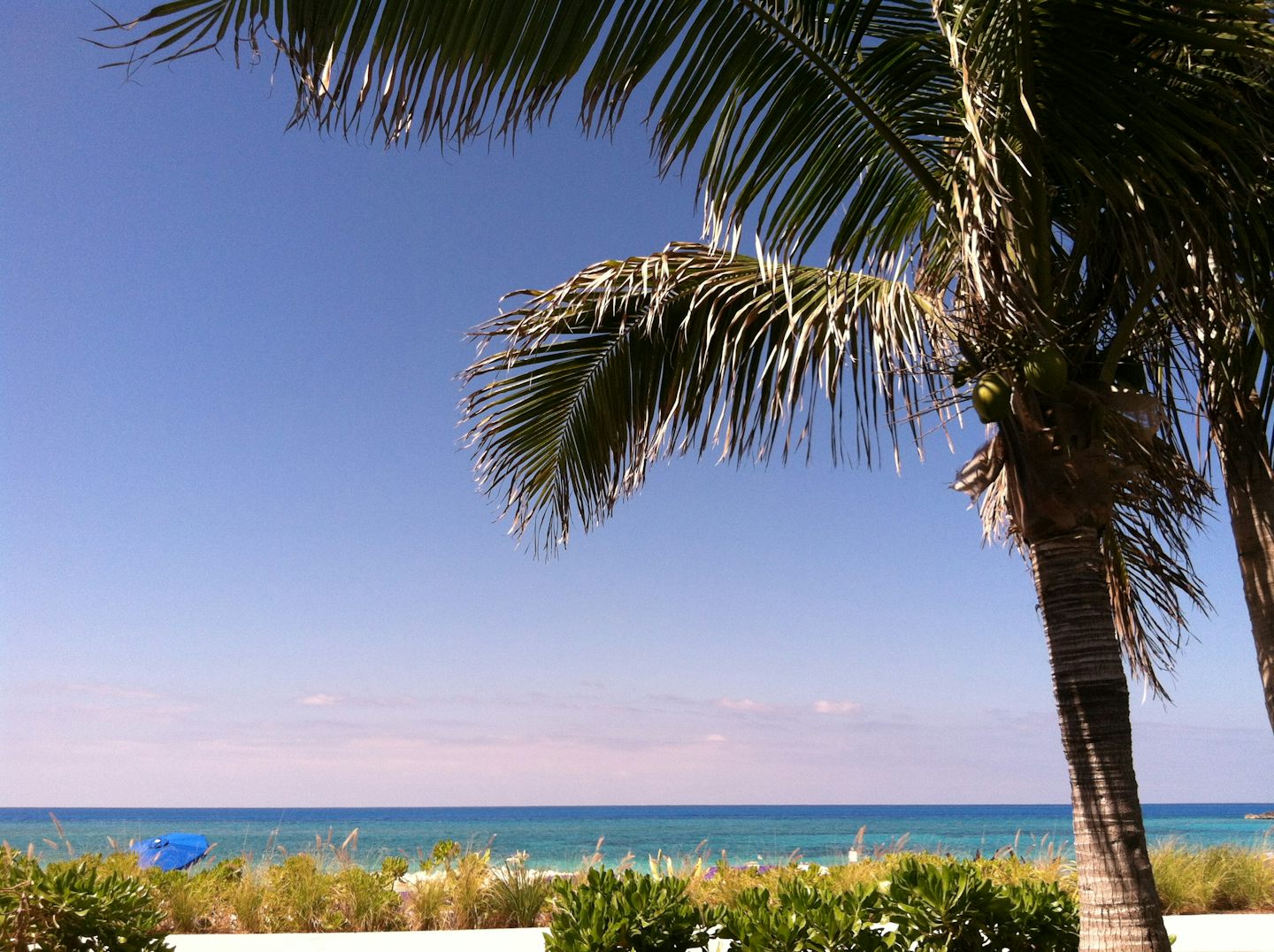 Cabana View