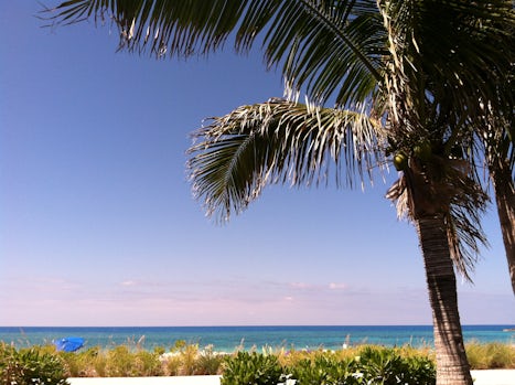 Cabana View