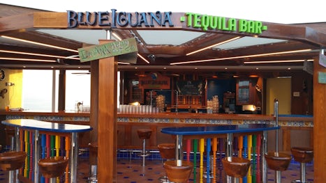 Blue Iguana Tequila Bar