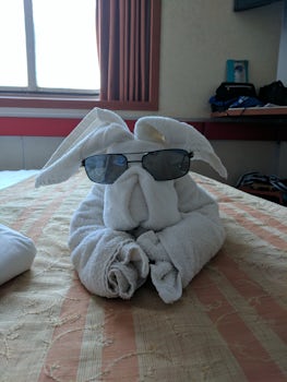 One of the many towel animals that greeted us nightly