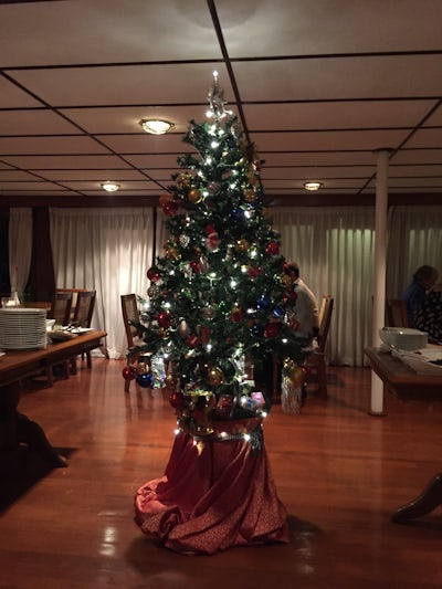 Christmas Tree in the Dining Room