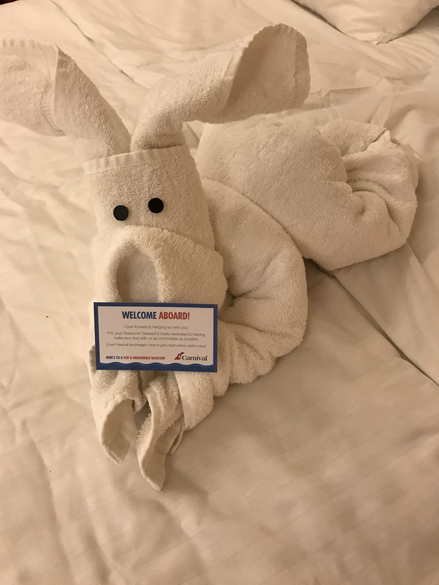 Towel bunny