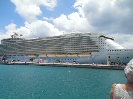 Oasis of the Seas is one big ship with over 6,000 passengers and so much to