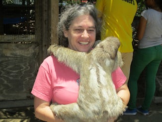 I hugged a sloth in Roatan.