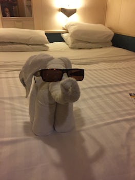 Making the most of stateroom experience
