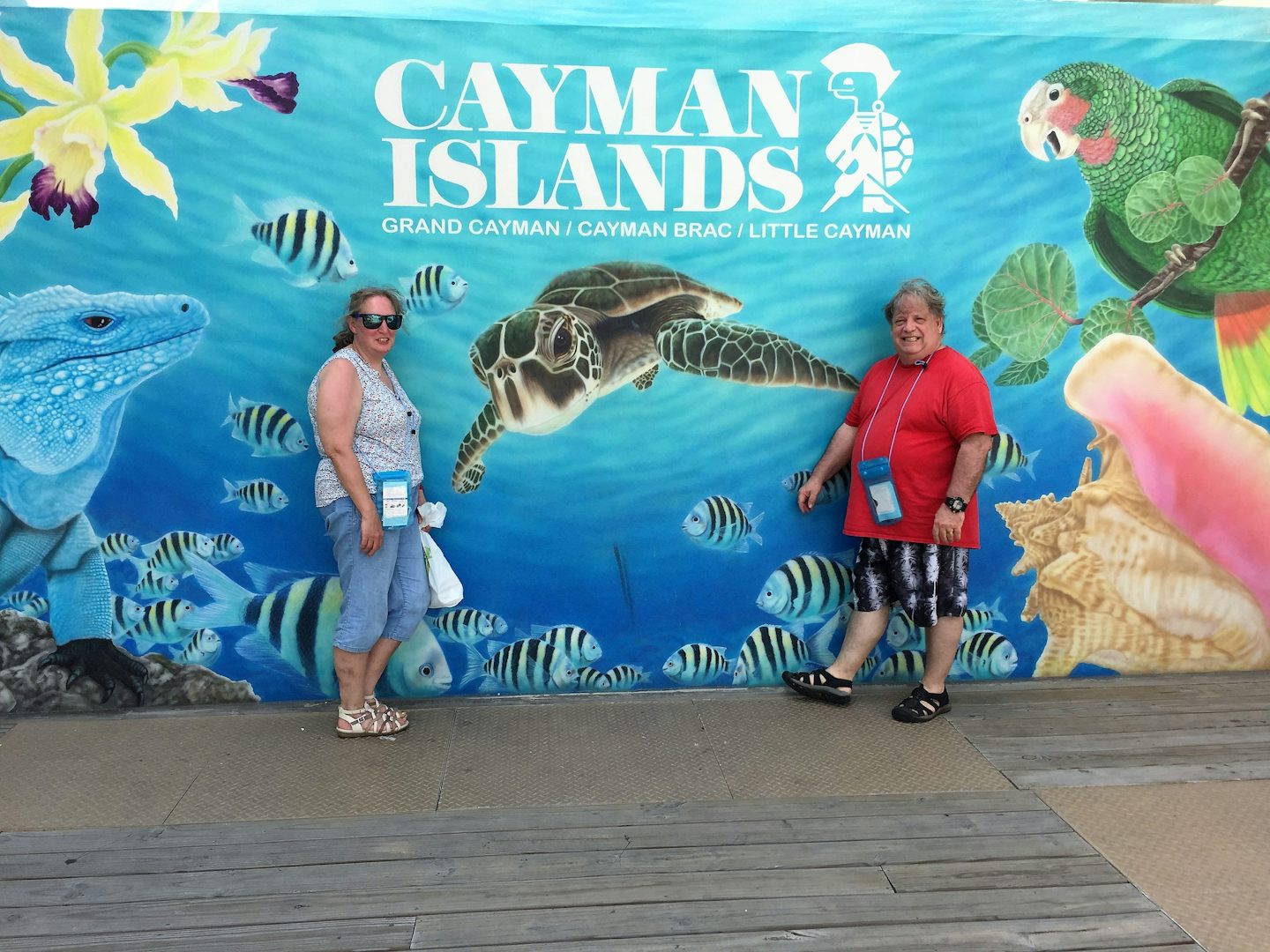 Cayman water front mural.