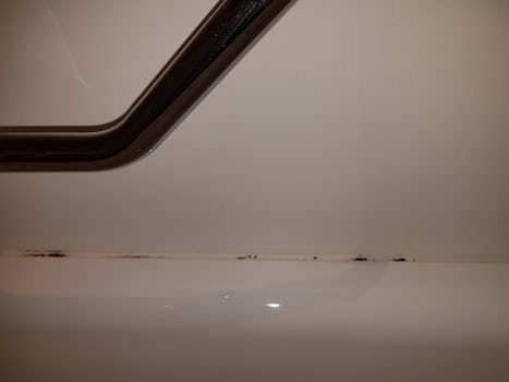 Tub had mold... Room was clean. The lady that cleaned it scrubbed every tim