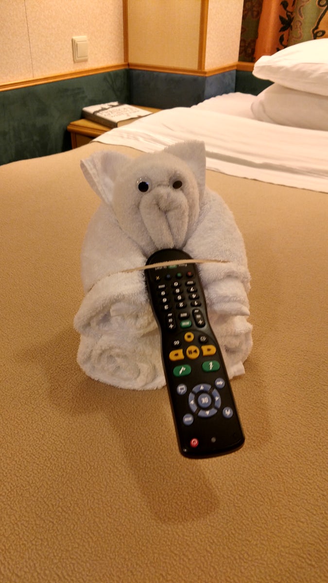 The crew was so welcoming and friendly. I enjoyed interacting with them. There was no chance of getting home sick. It was also nice to come back to the oragami towel animals every day....That extra something!