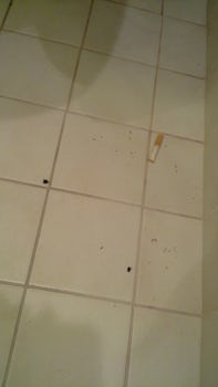cigarette on the bathroom floor after the "engineer" left