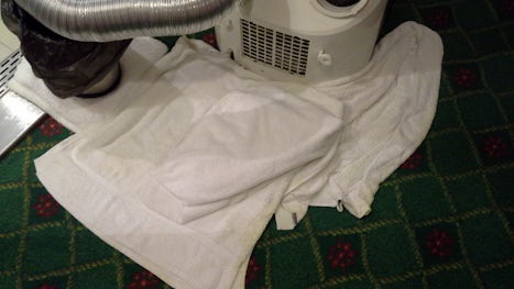 Put towels down to help dry the wet floor. 
The heater's condensation