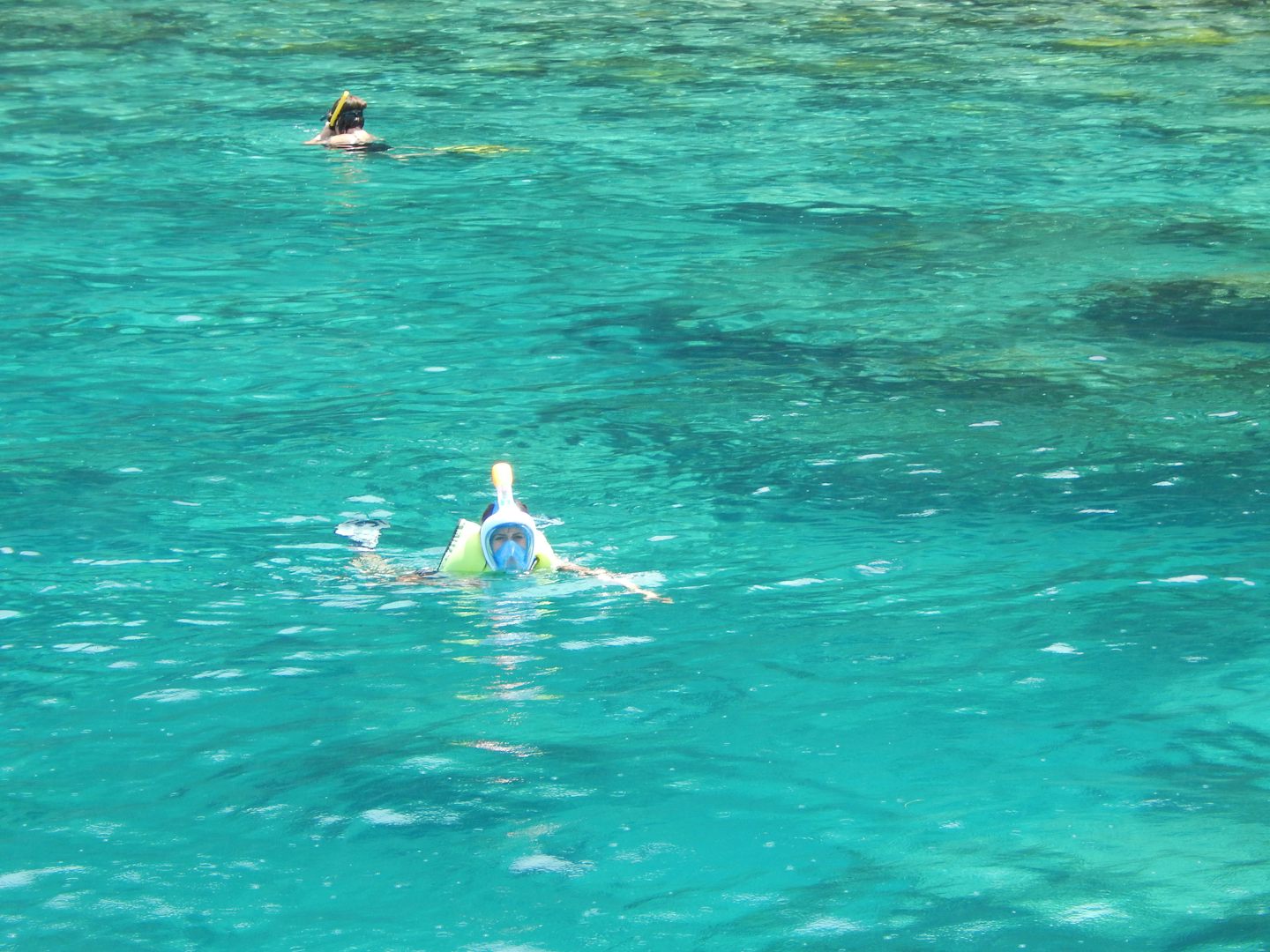 Snorkeling in St. Kitts